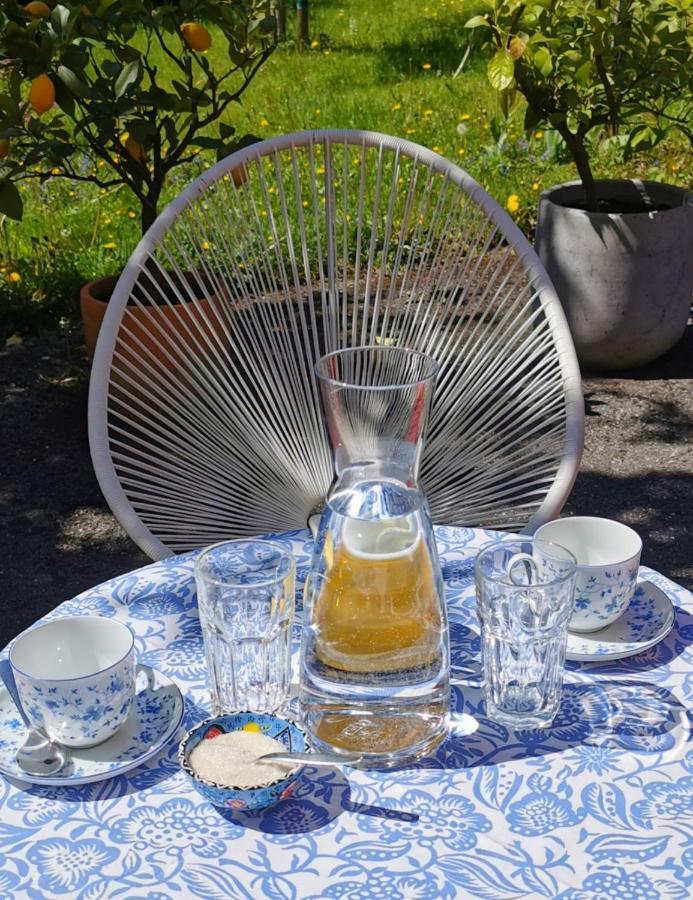 Villa Rosen - Ferienwohnungen Bad Reichenhall Bagian luar foto