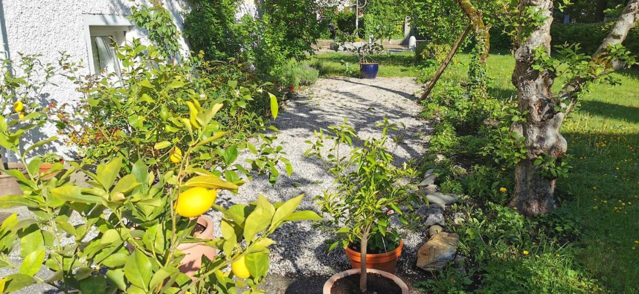 Villa Rosen - Ferienwohnungen Bad Reichenhall Bagian luar foto