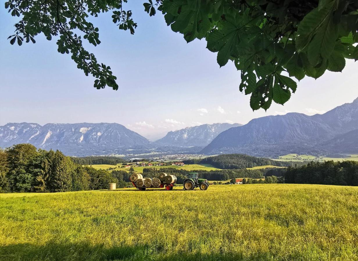 Villa Rosen - Ferienwohnungen Bad Reichenhall Bagian luar foto